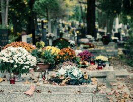 Cimetière de Zentralfriedhof : Musique et mémoire à Vienne