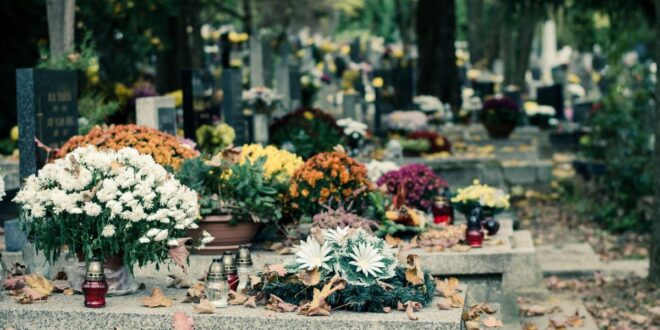 Cimetière de Zentralfriedhof : Musique et mémoire à Vienne