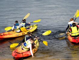 Activités aquatiques en camping : canot, kayak, paddle et autres sports nautiques