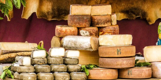 Le fromage fort : un trésor culinaire à explorer